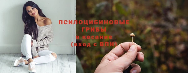 кристаллы Краснослободск