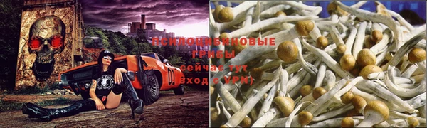 гашик Краснотурьинск