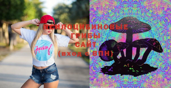 гашик Краснотурьинск