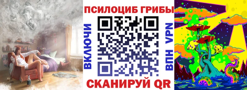 Купить закладки  Североуральск  Галлюциногенные грибы мицелий 